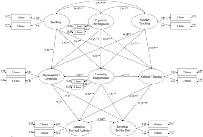 The Perception of Teaching, Learning Styles and Commitment to Learning and Their Influence on the Practice of Physical Activity and Eating Habits Related to the Mediterranean Diet in Physical Education Students